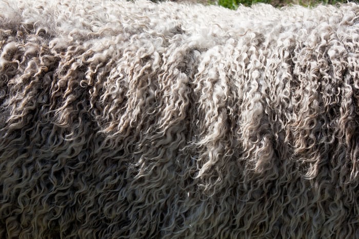 Wool and High Twist, Which one Better Material for Making a Man Suit?